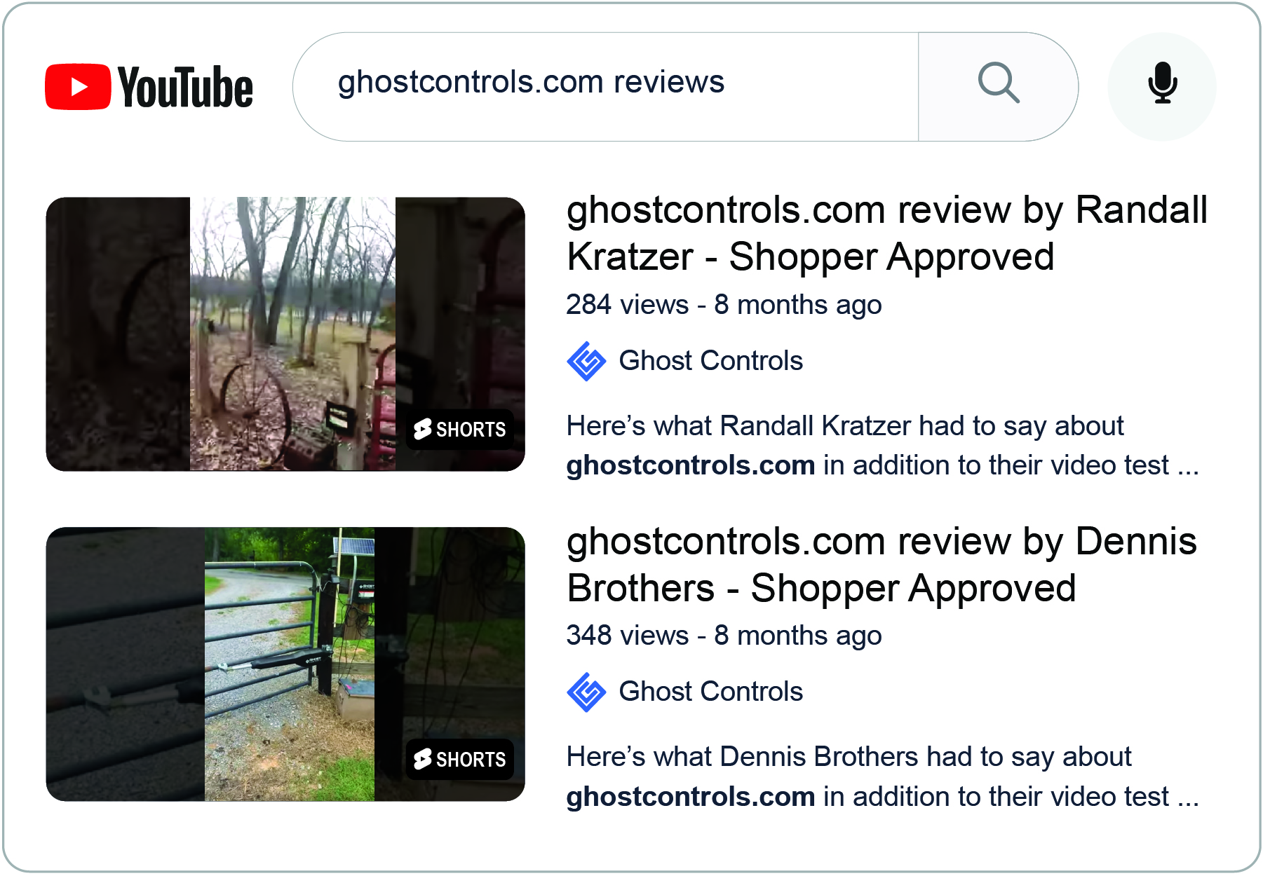  Example of video reviews in YouTube search results